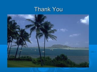 Thank YouThank You
 