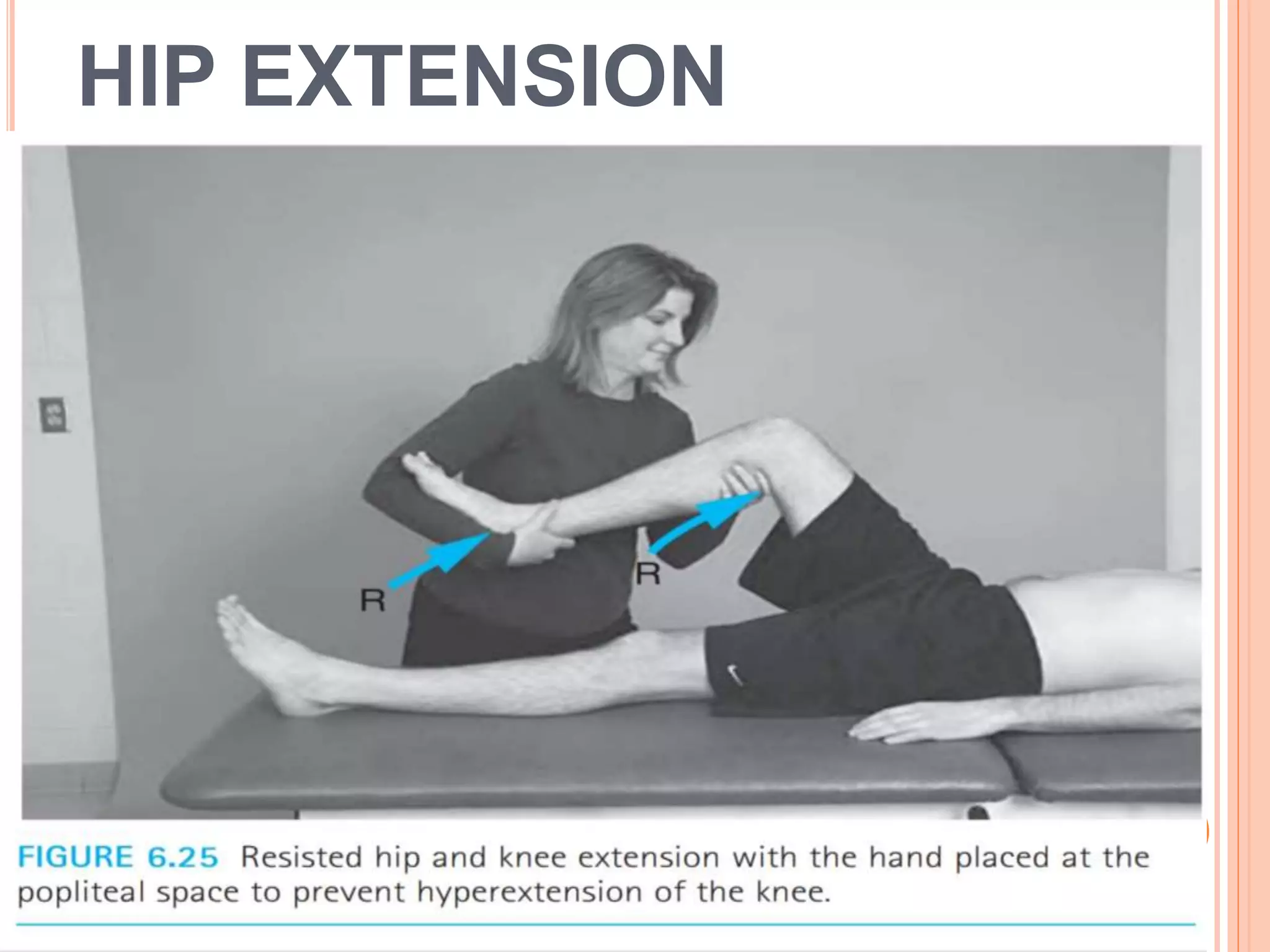 HIP EXTENSION
 