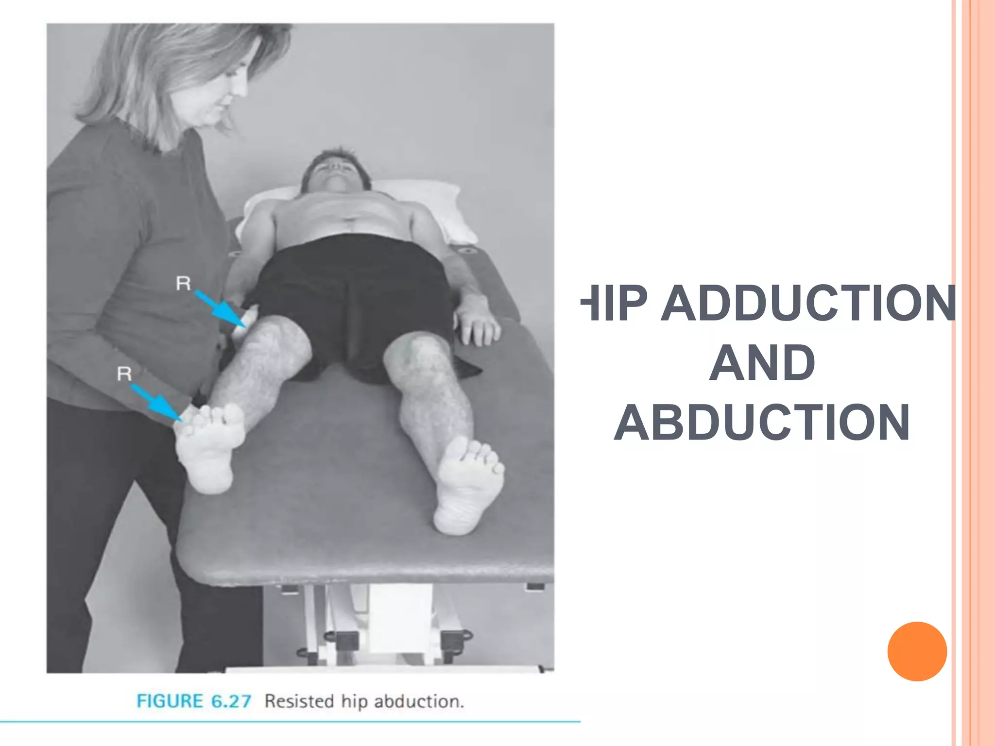 HIP ADDUCTION
AND
ABDUCTION
 