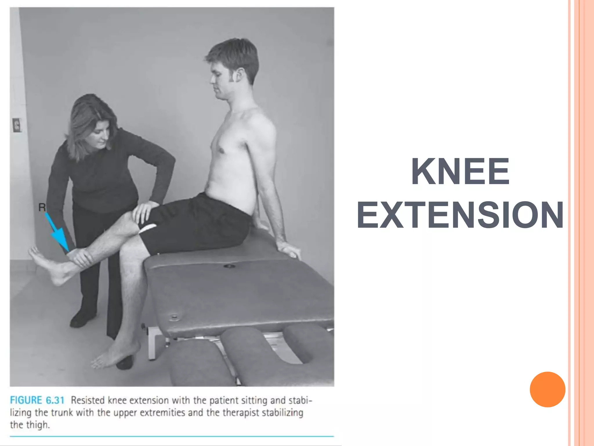 KNEE
EXTENSION
 