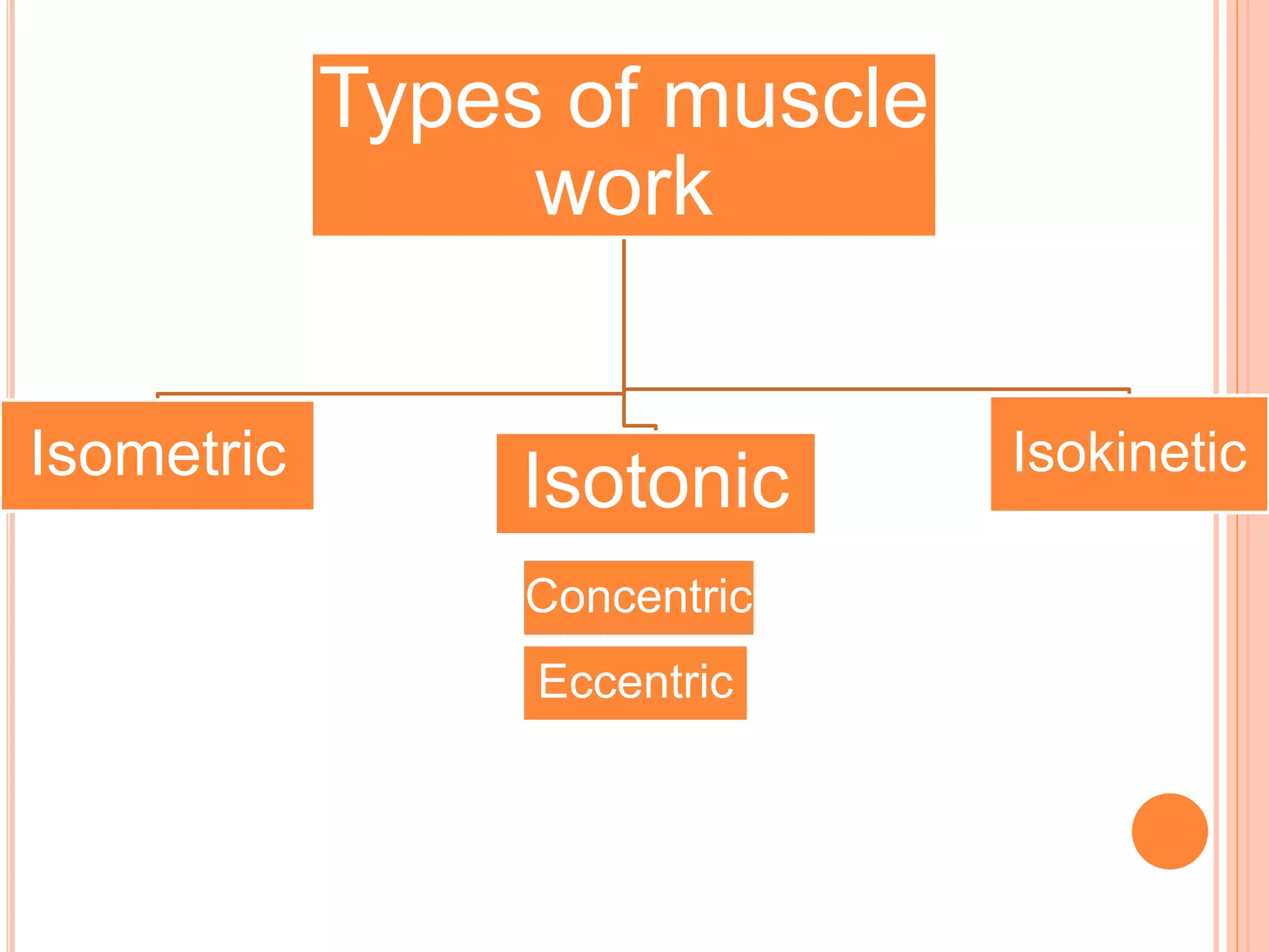 Types of muscle
work
Isometric
Isotonic Isokinetic
Concentric
Eccentric
 