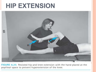 HIP EXTENSION
 