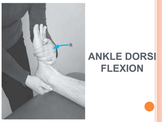 ANKLE DORSI
FLEXION
 