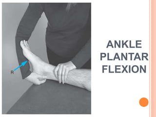 ANKLE
PLANTAR
FLEXION
 
