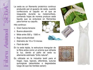 La seda es un filamento proteínico continuo
producido por el gusano de seda, cuando
confecciona el capullo en el que se
resguarda durante su metamorfosis,
comiendo hojas de morera produce seda
liquida que se endurece en filamentos
para formar su capullo.
Hilo continuo:
 Gran fuerza tensora
 Buena absorción
 Mide entre 500 y 1500 m
 Baja conductividad
 Diámetro de 10 a 13 micras
 Fácil de teñir
En la seda tejida, la estructura triangular de
la fibra actúa como un prisma que refracta
la luz, dando al paño de seda su
altamente estimado "brillo natural".
Es utilizada en la industria textil para el
hogar, ropa, tapices, alfombras, suturas
quirúrgicas (absorbidas o degradadas
luego de que las heridas sanan)
 