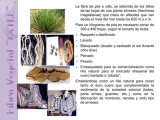 La fibra de pita o ixtle, se obtenida de los tallos
de las hojas de una planta silvestre (Aechmea
magdalenae) que crece en altitudes que van
desde el nivel del mar hasta los 650 m.s.n.m.
Para un kilogramo de pita es necesario cortar de
300 a 450 hojas, según el tamaño de éstas.
 Raspado o desfibrado
 Lavado
 Blanqueado (lavado y asoleado al sol durante
ocho días)
 Peinado
 Pesado
 Empaquetado para su comercialización como
hilo natural para el mercado artesanal del
cuero bordado o “pitiado”.
Empleándose como un hilo natural para coser
tanto el duro cuero que complementaba la
vestimenta de la sociedad colonial (botas,
porta armas, guantes, etc.,) como en la
fabricación de monturas, riendas y todo tipo
de arneses.
 