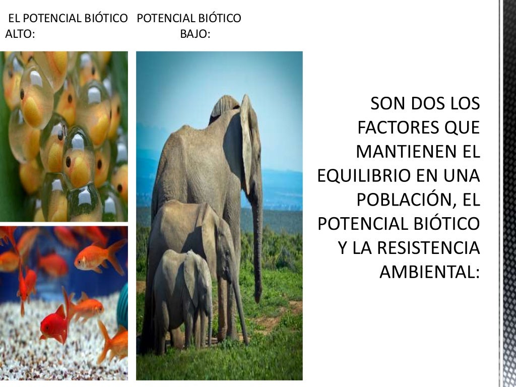 Resistencia ambiental y diferencia entre potencial biotico