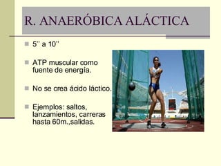 R. ANAERÓBICA ALÁCTICA 5’’ a 10’’  ATP muscular como fuente de energía. No se crea ácido láctico. Ejemplos: saltos, lanzamientos, carreras hasta 60m.,salidas. 