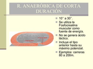 R. ANAERÓBICA DE CORTA DURACIÓN 10’’ a 30’’. Se utiliza la Fosfocreatina muscular como fuente de energía. No se genera ácido láctico. Incluye el tipo anterior hasta su máximo potencial. Ejemplos: carreras 80 a 200m. 