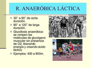 R. ANAERÓBICA LÁCTICA 30’’ a 90’’ de corta duración. 90’’ a 120’’ de larga duración. Glucólosis anaeróbica: se rompen las moléculas de glucógeno muscular sin presencia de O2, liberando energía y creando ácido láctico Ejemplos: 400 a 800m. 