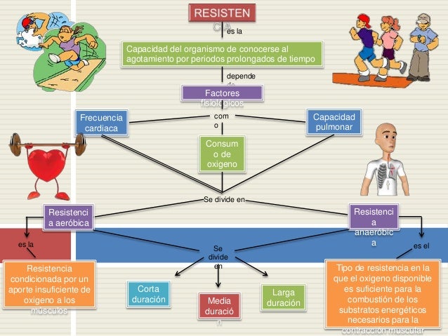 Resistencia aeróbica y anaeróbica