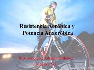 Resistencia Aeróbica y
Potencia Anaeróbica
Realizado por: Adriana Ordóñez
Sección: SQ
 