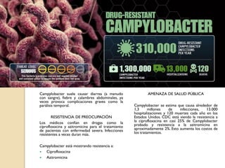Campylobacter suele causar diarrea (a menudo
con sangre), fiebre y calambres abdominales, ya
veces provoca complicaciones graves como la
parálisis temporal.
RESISTENCIA DE PREOCUPACIÓN
Los médicos confían en drogas como la
ciprofloxacina y azitromicina para el tratamiento
de pacientes con enfermedad severa. Infecciones
resistentes a veces duran más.
Campylobacter está mostrando resistencia a:
 Ciprofloxacina
 Azitromicina
AMENAZA DE SALUD PÚBLICA
Campylobacter se estima que causa alrededor de
1,3 millones de infecciones, 13.000
hospitalizaciones y 120 muertes cada año en los
Estados Unidos. CDC está viendo la resistencia a
la ciprofloxacina en casi 25% de Campylobacter
probado y resistencia a la azitromicina en
aproximadamente 2%. Esto aumenta los costos de
los tratamientos.
 