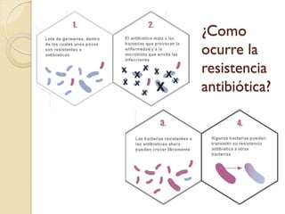 ¿Como
ocurre la
resistencia
antibiótica?
 