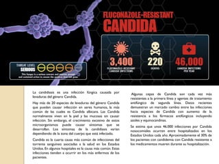 La candidiasis es una infección fúngica causada por
levaduras del género Candida.
Hay más de 20 especies de levaduras del género Candida
que pueden causar infección en seres humanos, la más
común de las cuales es Candida albicans. Las Candida
normalmente viven en la piel y las mucosas sin causar
infección. Sin embargo, el crecimiento excesivo de estos
microorganismos puede causar síntomas que se
desarrollan. Los síntomas de la candidiasis varían
dependiendo de la zona del cuerpo que está infectado.
Candida es la cuarta causa más común de infecciones del
torrente sanguíneo asociadas a la salud en los Estados
Unidos. En algunos hospitales es la causa más común. Estas
infecciones tienden a ocurrir en los más enfermos de los
pacientes.
Algunas cepas de Candida son cada vez más
resistentes a la primera línea y agentes de tratamiento
antifúngico de segunda línea. Datos recientes
demuestran un marcado cambio entre las infecciones
hacia especies de Candida con aumento de la
resistencia a los fármacos antifúngicos incluyendo
azoles y equinocandinas.
Se estima que unos 46.000 infecciones por Candida
nosocomiales ocurren entre hospitalizados en los
Estados Unidos cada año. Aproximadamente el 30% de
los pacientes con candidemia con Candida resistente a
los medicamentos mueren durante su hospitalización.
 