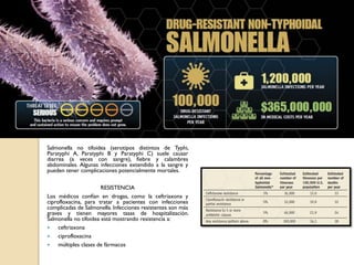 Salmonella no tifoidea (serotipos distintos de Typhi,
Paratyphi A, Paratyphi B y Paratyphi C) suele causar
diarrea (a veces con sangre), fiebre y calambres
abdominales. Algunas infecciones extendido a la sangre y
pueden tener complicaciones potencialmente mortales.
RESISTENCIA
Los médicos confían en drogas, como la ceftriaxona y
ciprofloxacina, para tratar a pacientes con infecciones
complicadas de Salmonella. Infecciones resistentes son más
graves y tienen mayores tasas de hospitalización.
Salmonella no tifoidea está mostrando resistencia a:
 ceftriaxona
 ciprofloxacina
 múltiples clases de fármacos
 