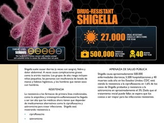 Shigella suele causar diarrea (a veces con sangre), fiebre y
dolor abdominal. A veces causa complicaciones graves
como la artritis reactiva. Los grupos de alto riesgo incluyen
niños pequeños, las personas con insuficiencia de lavado de
manos y hábitos higiénicos, y los hombres que tienen sexo
con hombres.
RESISTENCIA
La resistencia a los fármacos de primera línea tradicionales,
como la ampicilina y trimetoprim-sulfametoxazol ha llegado
a ser tan alta que los médicos ahora tienen que depender
de medicamentos alternativos como la ciprofloxacina y
azitromicina para tratar infecciones. Shigella está
mostrando resistencia a:
 ciprofloxacina
 azitromicina
AMENAZA DE SALUD PÚBLICA
Shigella causa aproximadamente 500.000
enfermedades diarreicas, 5.500 hospitalizaciones y 40
muertes cada año en los Estados Unidos. CDC está
viendo la resistencia a la ciprofloxacina en 1,6% de los
casos de Shigella probados y resistencia a la
azitromicina en aproximadamente el 3%. Dado que el
tratamiento inicial puede fallar, se espera que los
costos a ser mayor para las infecciones resistentes.
 