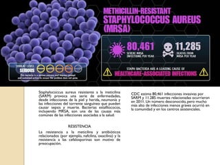 Staphylococcus aureus resistente a la meticilina
(SARM) provoca una serie de enfermedades,
desde infecciones de la piel y herida, neumonía y
las infecciones del torrente sanguíneo que pueden
causar sepsis y muerte. Bacterias estafilococos,
incluyendo MRSA, son una de las causas más
comunes de las infecciones asociadas a la salud.
RESISTENCIA
La resistencia a la meticilina y antibióticos
relacionados (por ejemplo, nafcilina, oxacilina) y la
resistencia a las cefalosporinas son motivo de
preocupación.
CDC estima 80,461 infecciones invasivas por
SARM y 11.285 muertes relacionadas ocurrieron
en 2011. Un número desconocido, pero mucho
más alto de infecciones menos graves ocurrió en
la comunidad y en los centros asistenciales.
 