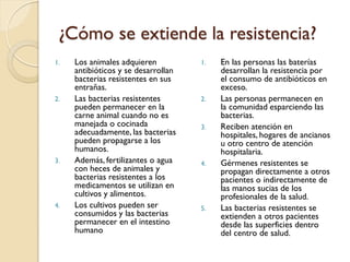 ¿Cómo se extiende la resistencia?
1. Los animales adquieren
antibióticos y se desarrollan
bacterias resistentes en sus
entrañas.
2. Las bacterias resistentes
pueden permanecer en la
carne animal cuando no es
manejada o cocinada
adecuadamente, las bacterias
pueden propagarse a los
humanos.
3. Además, fertilizantes o agua
con heces de animales y
bacterias resistentes a los
medicamentos se utilizan en
cultivos y alimentos.
4. Los cultivos pueden ser
consumidos y las bacterias
permanecer en el intestino
humano
1. En las personas las baterías
desarrollan la resistencia por
el consumo de antibióticos en
exceso.
2. Las personas permanecen en
la comunidad esparciendo las
bacterias.
3. Reciben atención en
hospitales, hogares de ancianos
u otro centro de atención
hospitalaria.
4. Gérmenes resistentes se
propagan directamente a otros
pacientes o indirectamente de
las manos sucias de los
profesionales de la salud.
5. Las bacterias resistentes se
extienden a otros pacientes
desde las superficies dentro
del centro de salud.
 