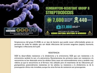 Streptococcus del grupo B (SGB) es un tipo de bacteria que puede causar enfermedades graves en
personas de todas las edades, que van desde infecciones del torrente sanguíneo (sepsis), neumonía,
meningitis e infecciones de la piel.
RESISTENCIA
SGB ha desarrollado resistencia a la clindamicina y la eritromicina. SGB que son resistentes a la
eritromicina también lo son a la azitromicina. Recientemente, los primeros casos con resistencia a la
vancomicina se han detectado entre los adultos. Estos casos son extremadamente raros y también muy
relativo ya que la vancomicina es el fármaco más utilizado para el tratamiento de las infecciones por
grampositivos potencialmente resistentes en los adultos. La resistencia a la clindamicina es de la
preocupación clínica más inmediata, aunque las otras formas de resistencia son preocupantes.
 