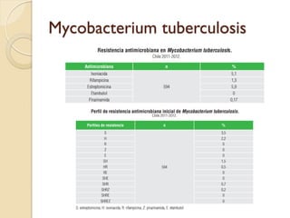 Mycobacterium tuberculosis
 
