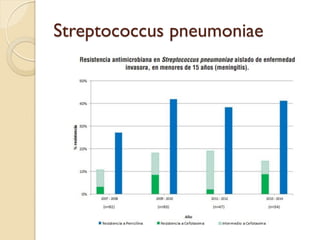 Streptococcus pneumoniae
 