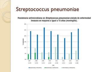 Streptococcus pneumoniae
 
