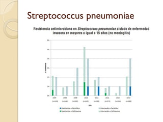 Streptococcus pneumoniae
 