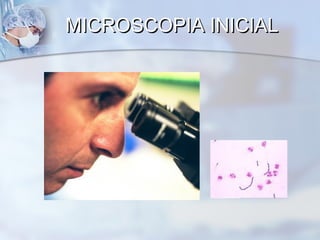 MICROSCOPIA INICIAL
 