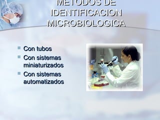 METODOS DE
            IDENTIFICACION
            MICROBIOLOGICA

   Con tubos
   Con sistemas
    miniaturizados
   Con sistemas
    automatizados
 