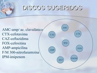 DISCOS SUGERIDOS


                                   AMC
AMC-amp/ ac. clavulánico
CTX-cefotaxima             CAZ                   CTX

CAZ-ceftazidima
FOX-cefoxitina                         IPM

AMP-ampicilina             AMP
                                                     FOX

F/M 300-nitrofurantoína
IPM-imipenem                                 FM300
                                 SXT
 
