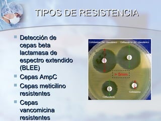 TIPOS DE RESISTENCIA

   Detección de
    cepas beta
    lactamasa de
    espectro extendido
    (BLEE)
   Cepas AmpC
   Cepas meticilino
    resistentes
   Cepas
    vancomicina
    resistentes
 