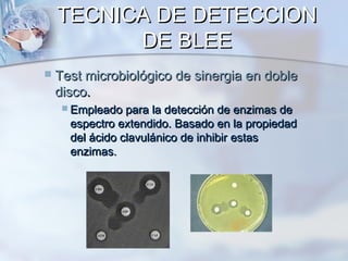 TECNICA DE DETECCION
          DE BLEE
   Test microbiológico de sinergia en doble
    disco.
      Empleado para la detección  de enzimas de
      espectro extendido. Basado en la propiedad
      del ácido clavulánico de inhibir estas
      enzimas.
 