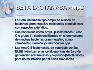 BETA LACTAMASA AmpC
   La Beta lactamasa tipo AmpC es aislada en
    bacterias gram negativo resistentes a antibióticos
    con espectro extendido.
   Son conocidas como AmpC β-lactamasas (Clase
    C o grupo 1); están codificadas en el cromosoma
    de muchas bacterias gram negativo como
    Citrobacter, Serratia y Enterobacter spp.
   Las AmpC β-lactamasas, en contraste con las
    BLEE hidrolizan a las cefalosporinas de 3a y 4a
    generación (cefamicinas y oxyimino-β-lactámicos),
    pero no es inhibida por el ácido clavulánico
 