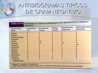 ANTIBIOGRAMAS TIPICOS
  DE GRAM NEGATIVO
 