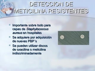 DETECCION DE
    METICILINA RESISTENTES

   Importante sobre todo para
    cepas de Staphylococcus
    aureus en hospitales
   Se adquiere por adquisición
    de nuevas PBP´s
   Se pueden utilizar discos
    de oxacilina o meticilina
    indiscriminadamente
 