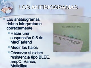 LOS ANTIBIOGRAMAS
   Los antibiogramas
    deben interpretarse
    correctamente
      Hacer una
       suspensión 0.5 de
       MacFarland
      Medir los halos
      Observar si existe
       resistencia tipo BLEE,
       ampC, Vanco,
       Meticilina
 