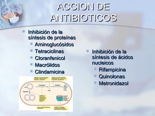 ACCION DE
             ANTIBIOTICOS
   Inhibición de la
    síntesis de proteínas
      Aminoglucósidos
      Tetraciclinas           Inhibición de la
      Cloranfenicol            síntesis de ácidos
      Macrólidos               nucleicos
                                  Rifampicina
      Clindamicina
                                  Quinolonas
                                  Metronidazol
 