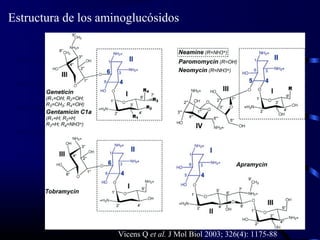 Estructura de los aminoglucósidos




                     Vicens Q et al. J Mol Biol 2003; 326(4): 1175-88
 