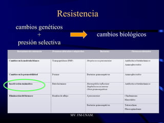 Resistencia
cambios genéticos
        +                           cambios biológicos
 presión selectiva




                     MV. FM-UNAM.
 