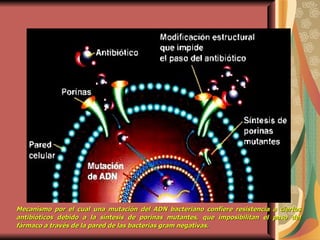 Mecanismo por el cual una mutación del ADN bacteriano confiere resistencia a ciertos antibióticos debido a la síntesis de porinas mutantes, que imposibilitan   el paso del fármaco a través de la pared de las bacterias gram negativas.   