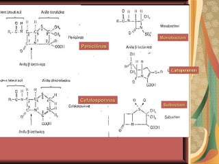 Penicilinas Cefalosporinas Sulbactam Carbapenemen Monobactam 
