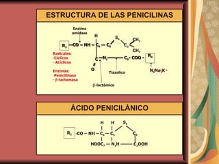 ESTRUCTURA DE LAS PENICILINAS Radicales: Cíclicos Acíclicos Enzimas: Penicilinasa  -lactamasa R 2 — CO – NH – C 6  — C 5 C O  = — N 1 ———— C 2 - COO - C 3   S 4 — — — — CH 3 CH 3 R 2  N 4 Na 1 K +  +  + H | Enzima amidasa  -lactámico Tiazolico ÁCIDO PENICILÁNICO R 2 CO – NH – C 6  — C 5   H  H |   |  |   |  HOOC 7  — N 1 H ——— C 2 OOH  S 4 C 3 
