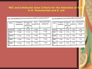 MIC and Inhibición Zone Criteria for the Detection of ESBL in  K. Pneumoniae  and  E. coli 