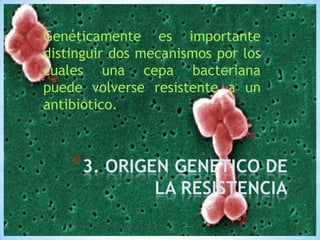Genéticamente es importante
distinguir dos mecanismos por los
cuales una cepa bacteriana
puede volverse resistente a un
antibiótico.

*3. ORIGEN GENETICO DE
LA RESISTENCIA

 