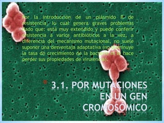 Por la introducción de un plásmido R de
resistencia, lo cual genera graves problemas
dado que: está muy extendido y puede conferir
resistencia a varios antibióticos a la vez, a
diferencia del mecanismo mutacional, no suele
suponer una desventaja adaptativa (no disminuye
la tasa de crecimiento de la bacteria ni le hace
perder sus propiedades de virulencia).

* 3.1. POR MUTACIONES
EN UN GEN
CROMOSÓMICO

 