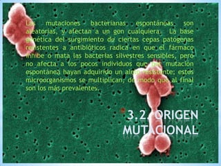 Las
mutaciones
bacterianas
espontáneas
son
aleatorias, y afectan a un gen cualquiera. La base
genética del surgimiento de ciertas cepas patógenas
resistentes a antibióticos radica en que el fármaco
inhibe o mata las bacterias silvestres sensibles, pero
no afecta a los pocos individuos que por mutación
espontánea hayan adquirido un alelo resistente; estos
microorganismos se multiplican, de modo que al final
son los más prevalentes.

*3.2. ORIGEN

MUTACIONAL

 