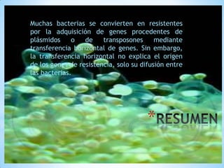 Muchas bacterias se convierten en resistentes
por la adquisición de genes procedentes de
plásmidos
o
de
transposones
mediante
transferencia horizontal de genes. Sin embargo,
la transferencia horizontal no explica el origen
de los genes de resistencia, solo su difusión entre
las bacterias.

*

 