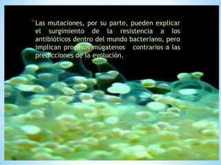 * Las

mutaciones, por su parte, pueden explicar
el surgimiento de la resistencia a los
antibióticos dentro del mundo bacteriano, pero
implican procesos múgatenos contrarios a las
predicciones de la evolución.

 