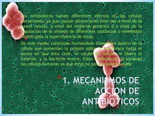 Los antibióticos tienen diferentes efectos en las células
bacterianas, ya que causan alteraciones bien sea a nivel de la
pared celular, a nivel del material genético o a nivel de la
regulación de la síntesis de diferentes sustancias o elementos
vitales para la supervivencia de estas.
De este modo, continúan formándose materiales dentro de la
célula que aumentan la presión sobre la membrana hasta el
punto en que ésta cede, el contenido celular se libera al
exterior, y la bacteria muere. Estos antibióticos no lesionan
las células humanas ya que éstas no poseen pared celular.

*1. MECANISMOS DE
ACCION DE
ANTIBIOTICOS

 